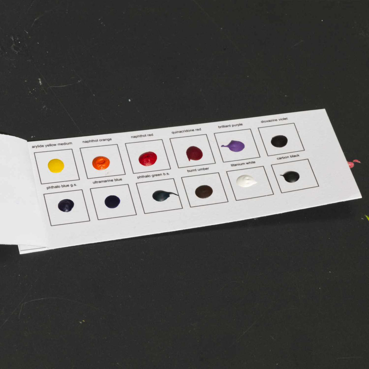 Carte d'échantillons aquarelle Tri-Art Professional 12 points