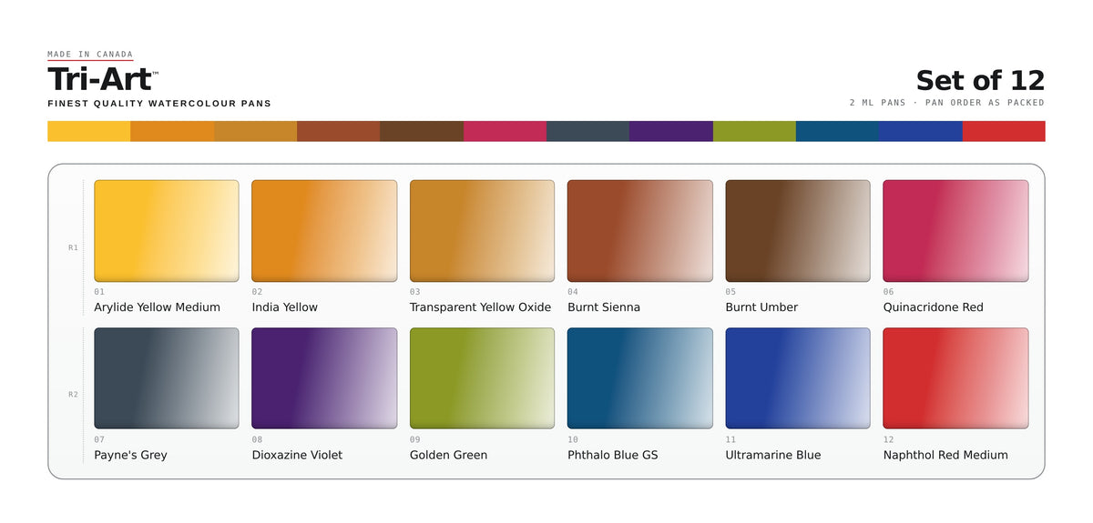 Half-Pan Watercolour Tin of 12 Colours